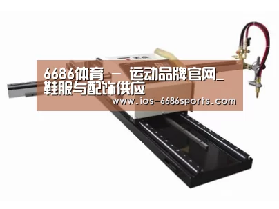 案例展示一
