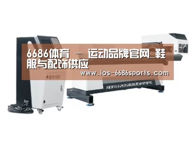 案例展示四