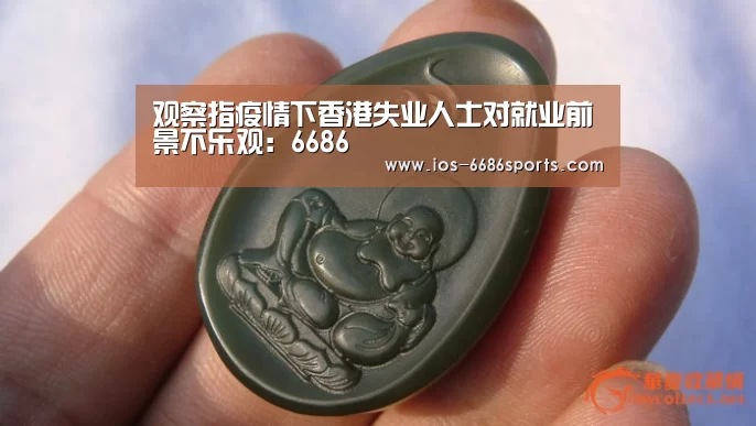 观察指疫情下香港失业人士对就业前景不乐观:6686(图2)
观察指疫情下香港失业人士对就业前景不乐观:6686(图2)