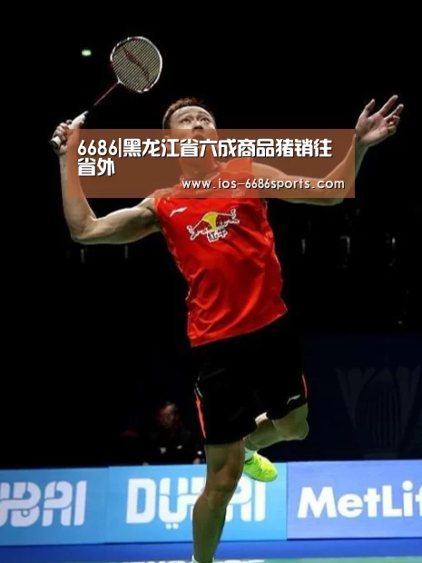 6686|黑龙江省六成商品猪销往省外(图1) 6686体育