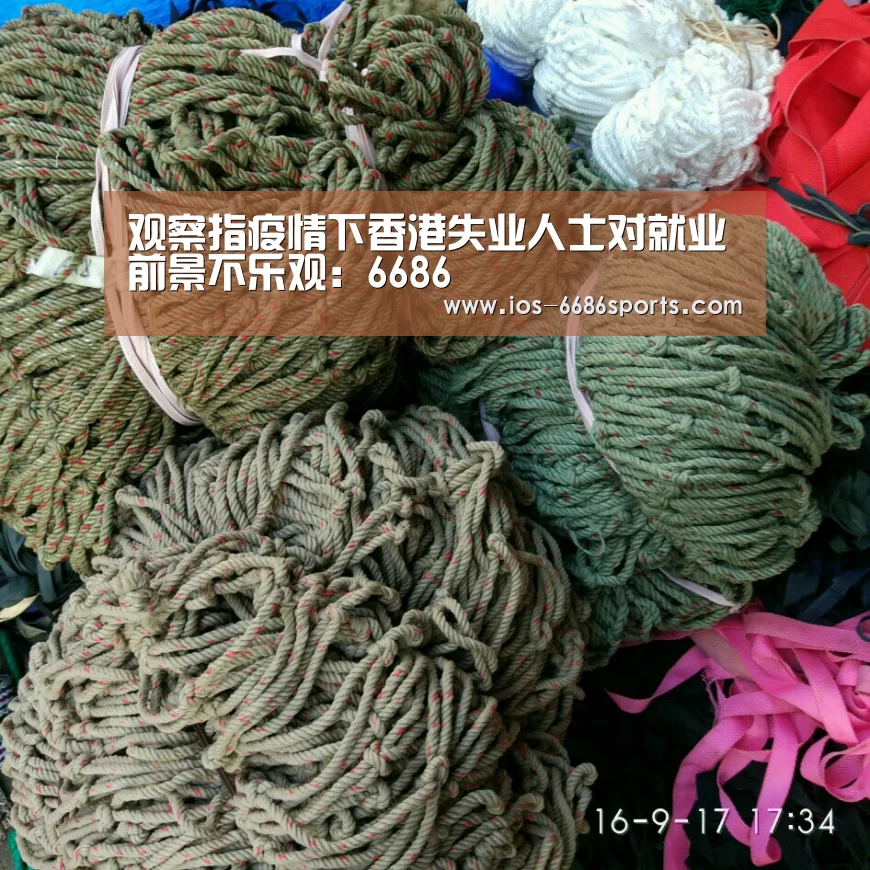 观察指疫情下香港失业人士对就业前景不乐观:6686(图3)
观察指疫情下香港失业人士对就业前景不乐观:6686(图3)