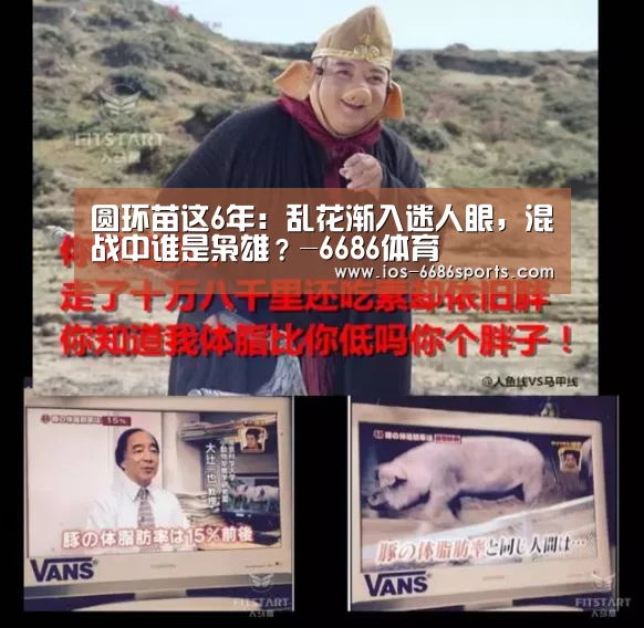 圆环苗这6年:乱花渐入迷人眼,混战中谁是枭雄?-6686体育(图1) 圆环苗这6年:乱花渐入迷人眼,混战中谁是枭雄?-6686体育(图1)